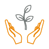 Icon of a person planting a tree