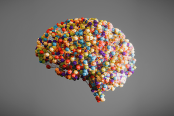 brain artwork sculpture