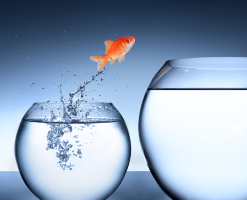 fish jumping from small fishbowl to bigger fishbowl
