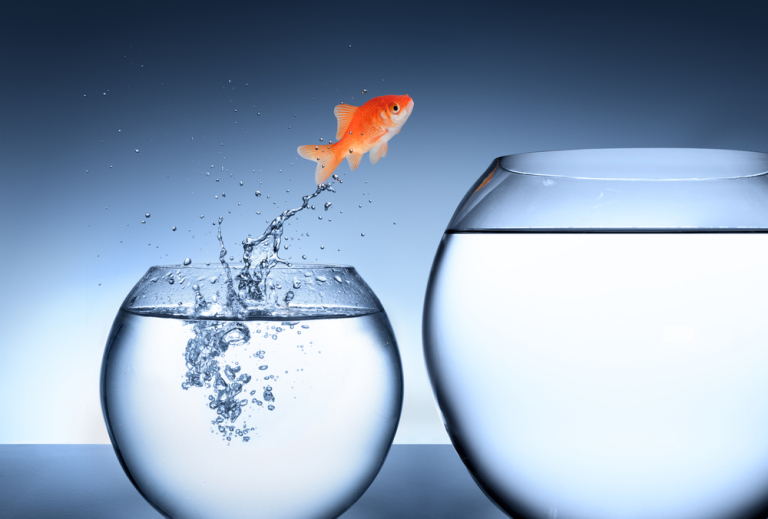 fish jumping from small fishbowl to bigger fishbowl