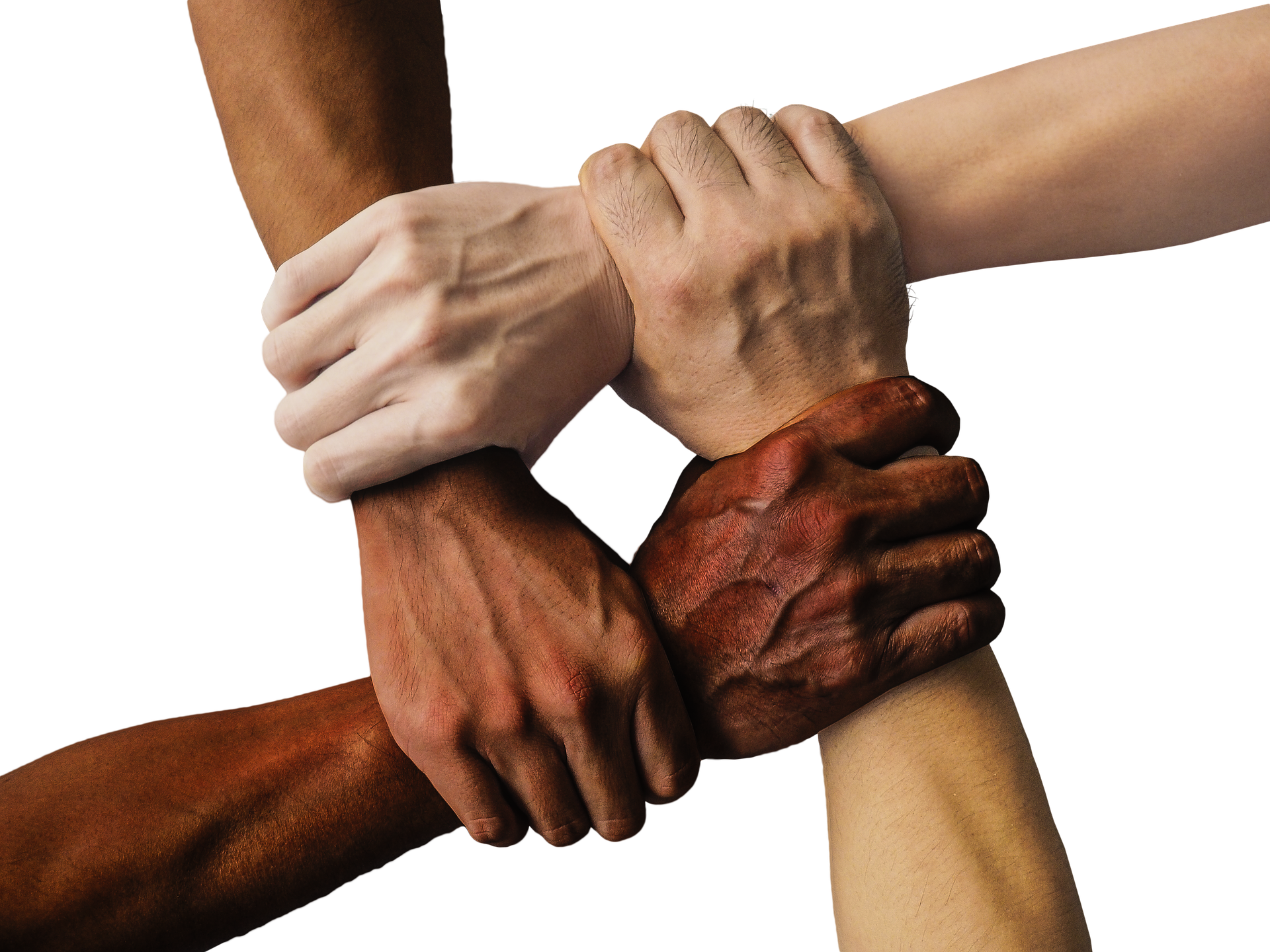 diverse hands holding each other's wrists in a square