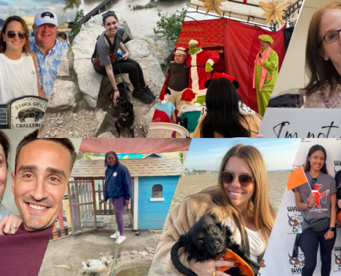 Paragon Legal | 20 Years of Impact